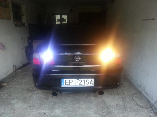 a2e5e85a61ca8873med.jpg