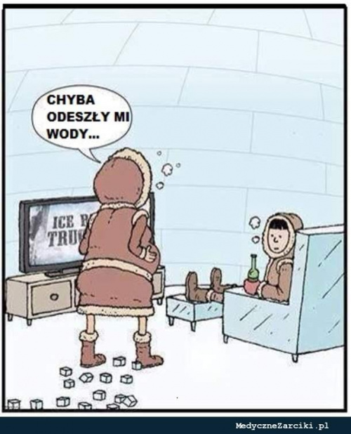 1edab556e910b874med.jpg