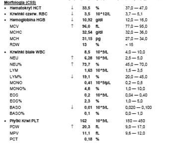 8764471abca9d69bmed.jpg