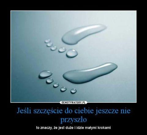 7f38e29dbae20d14med.jpg
