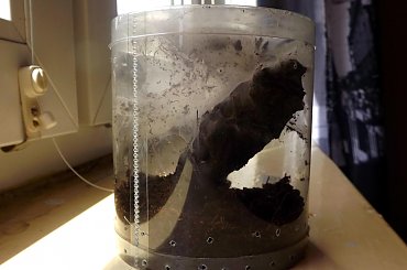 #makro #zoo #zwierzęta