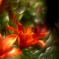 #bokeh #CanonEOS6D #Helios #kwiaty #M42 #makro #przyroda
