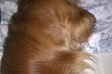 hobby fotografia #Chrzanów #Kraków #Polska