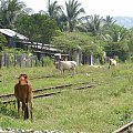 Sihanoukville Railway Station, Cambodia