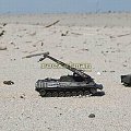 WOJSKO POLSKIE w skali 1:87. Czołg Leopard 2A4, wóz zabezpieczenia technicznego Bergerpanzer 2 , wóz ewakuacji medycznej M113A.