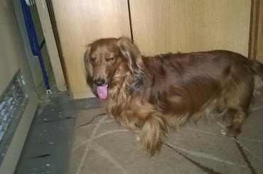 hobby fotografia #Chrzanów #Kraków #małopolska #Polska