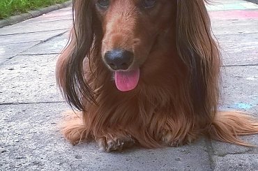 hobby fotografia #Chrzanów #Kraków #małopolska #Polska