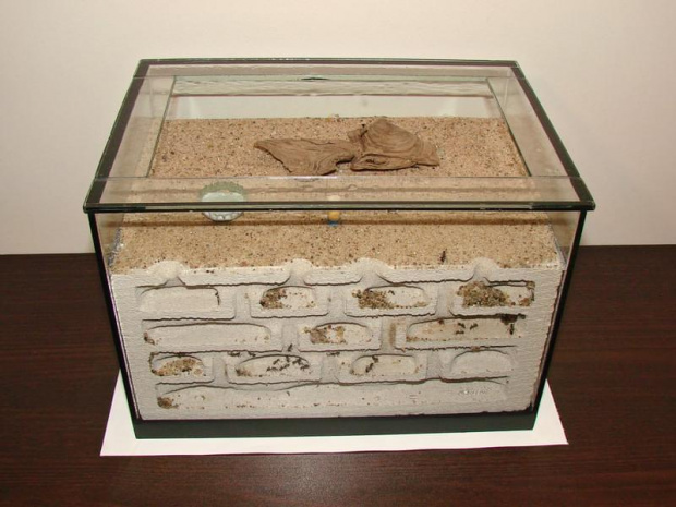 formicarium