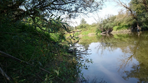 rzeka