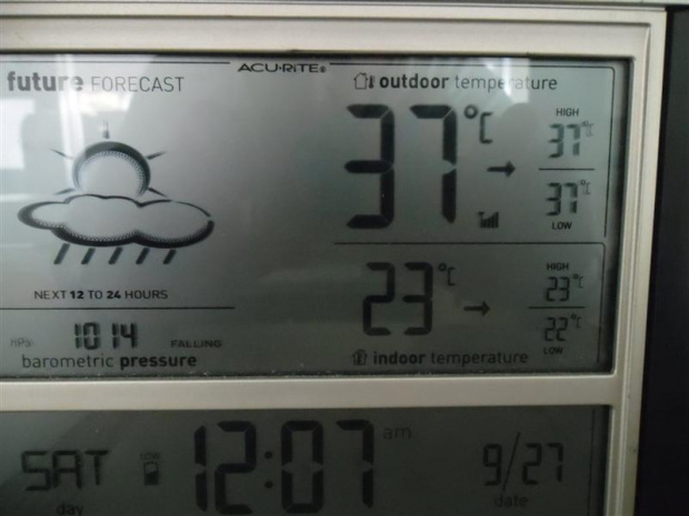 Temp