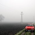 #drzewo #mgła #pole #PuszczaPyzdrska #samochód #słup #Wartburg