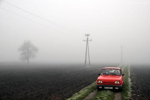 #drzewo #mgła #pole #PuszczaPyzdrska #samochód #słup #Wartburg