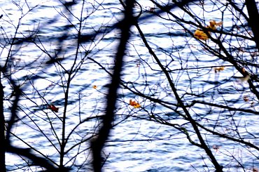 Na spotkanie z przyrodą #przyroda #krajobraz #plener #las #woda #drzewa #bagna