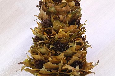 Сhoinkа . Eko-styl. Mój pomysł. Moja praca #BożeNarodzenie #krakow #rękodzieło #stroik #wieniec