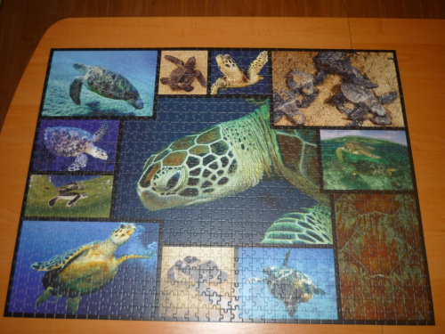 puzzle żółwie