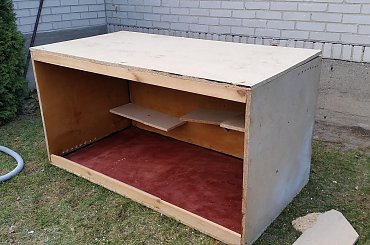 #terrarium #gady #agamam #terrarystyka