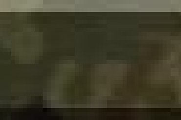 #Invaders #rangi #forum