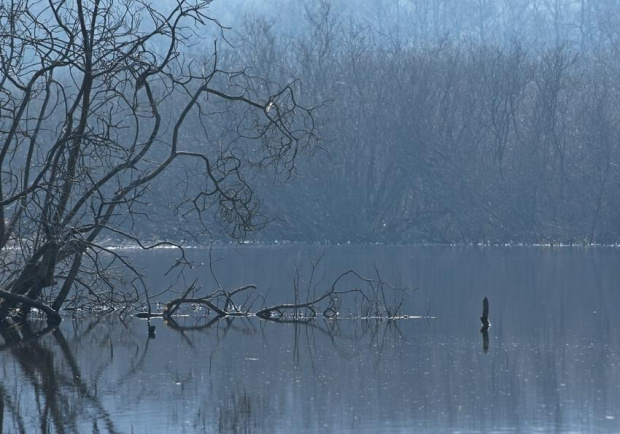 Podczele; Kołobrzeg; Ekopark; natura; dzikapolska; ptawctwo; wiosna; Wojciech; Wojciech Wrzesień; Wojtek Wrzesień; wojtekwrzesien; Wrzesień; galeria; w moim obiektywie; wojciechwrzesien; obiektywie;