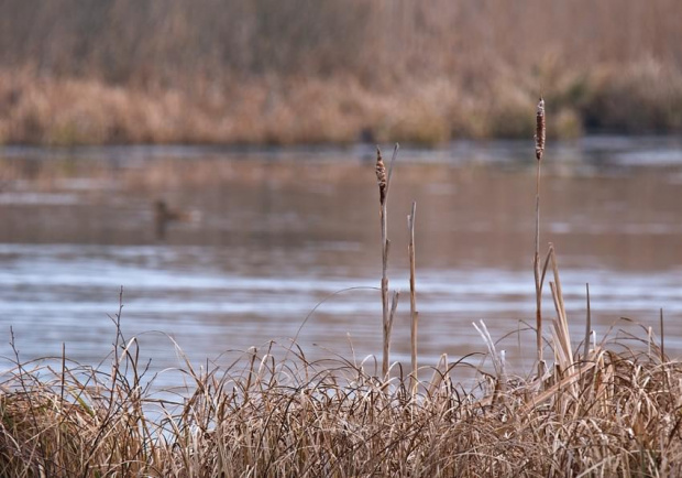 PIERWSZY DZIEŃ WIOSNY W EKOPARKU