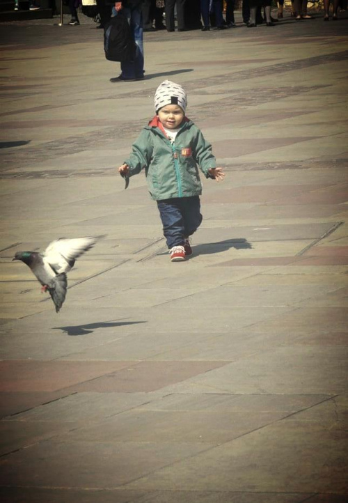 wielbiciel gołębi ;)))