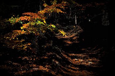 Kamesznica - Beskid Śląski #BaraniaGóra #BeskidŚląski #beskidy #góry