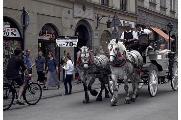 A W KRAKOWIE #Kraków #WojciechWrzesień #DzikaPolska #Ludzie #wojtekwrzesien