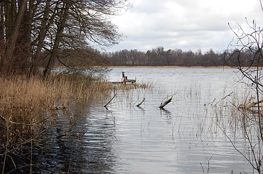 #las #jezioro #wiosna #Mazury #przyroda #krajobrazy