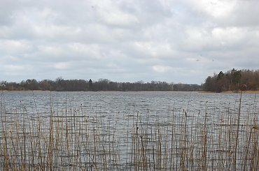 #las #jezioro #wiosna #Mazury #przyroda #krajobrazy