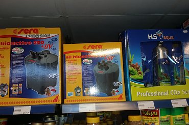 dino breda #Akwarium #breda #dino #RoślinyFiltry #ryby