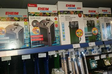 dino breda #Akwarium #breda #dino #RoślinyFiltry #ryby