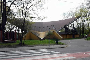 Amfiteatr #Amfiteatr #Magnolia #WiosnaWParku