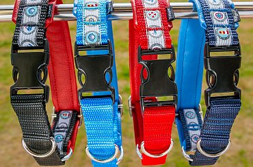 PsiArmani #DlaPsa #obroże #PsiArmani